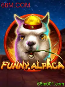 Descubra o Mundo Divertido de FunnyAlpaca